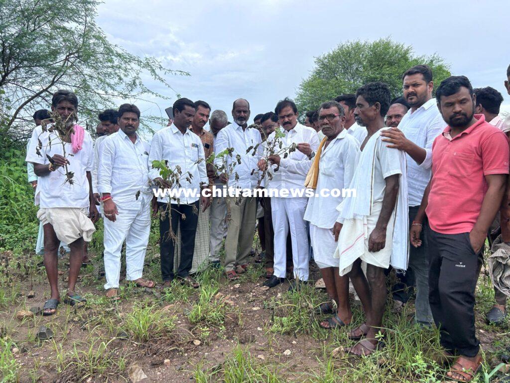 వరద ప్రభావిత ప్రాంతాల్లో ఎమ్మెల్యే పాయల్ శంకర్ పర్యటన