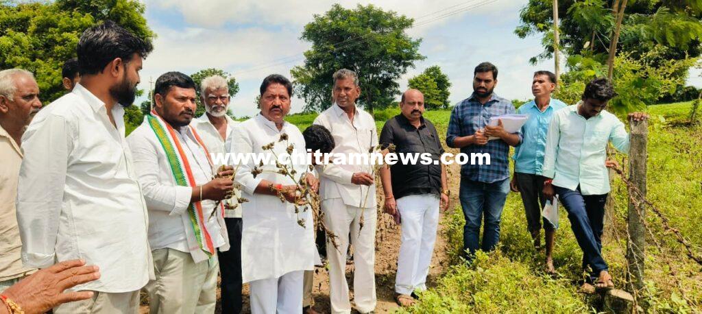 నష్టపోయిన రైతులకు పరిహారం అందజేస్తాం_ డీసీసీబీ చైర్మన్  అడ్డి భోజారెడ్డి