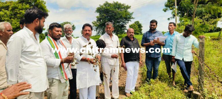 నష్టపోయిన రైతులకు పరిహారం అందజేస్తాం_ డీసీసీబీ చైర్మన్  అడ్డి భోజారెడ్డి