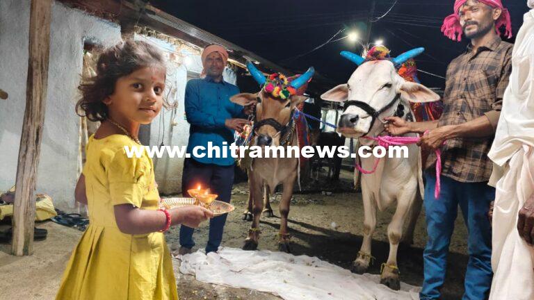 సంప్రదాయబద్ధంగా పొలాల అమావాస్య వేడుకలు