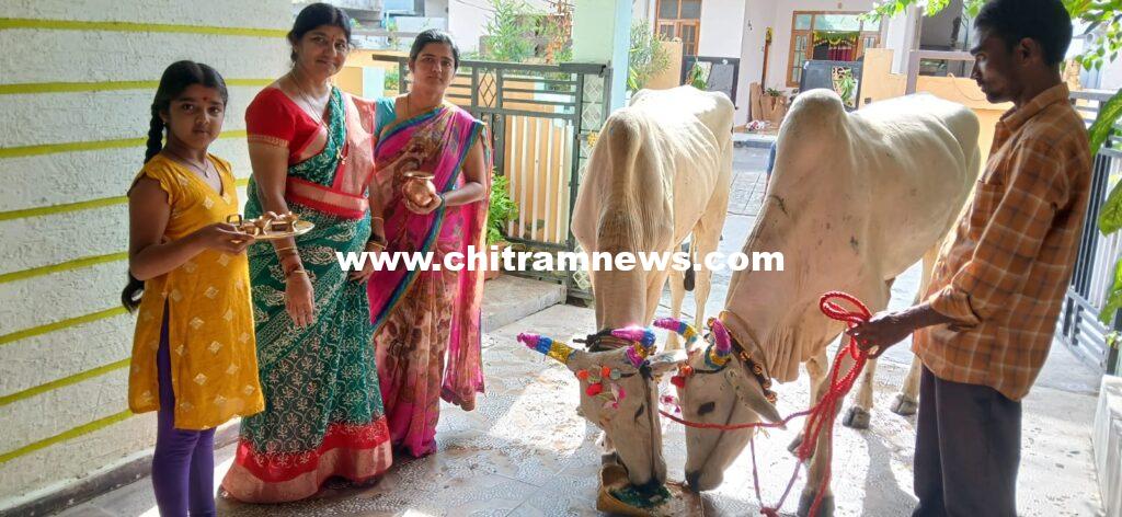 ఘనంగా పొలాల పండగ 