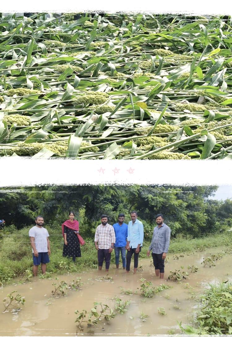 పంట నష్ట పరిహారం అందజేయాలి