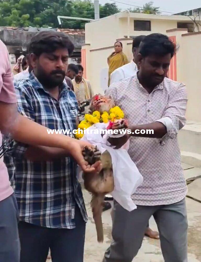 వానరానికి అంత్యక్రియలు
