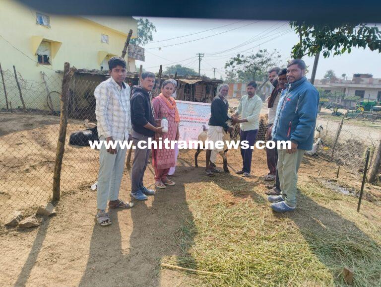 మూగజీవాలకు నట్టల నివారణ మందు పంపిణీ