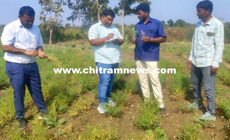 రబీ పంటలో శాస్త్రవేత్తల క్షేత్ర స్థాయి పర్యటన