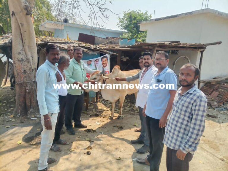 పశువులకు ఉచితంగా గాలి కుంటు నివారణ టీకాలు