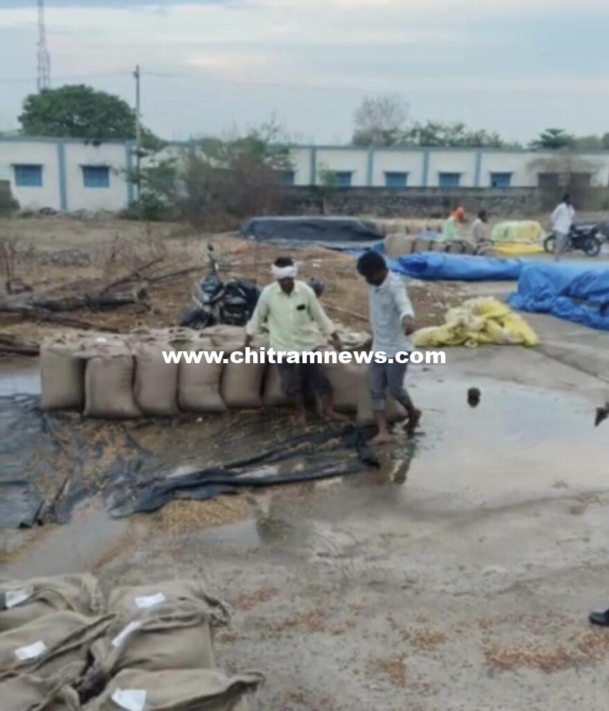 జైనథ్ మార్కెట్‌లో వర్షానికి తడిసిన శనగలు: ఆవేదనలో రైతులు