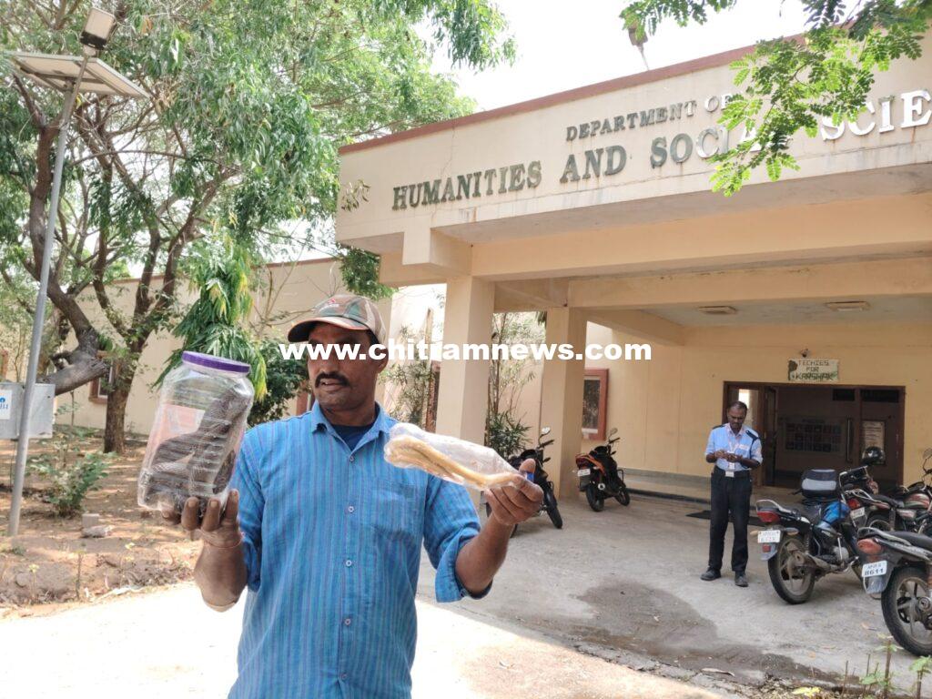 బాసర ఆర్జీయూకేటీలో కొండచిలువ కలకలం