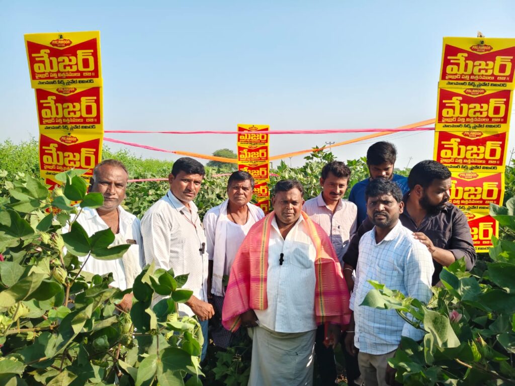 మేజర్ పత్తి రకంపై వ్యవసాయ క్షేత్ర ప్రదర్శన
